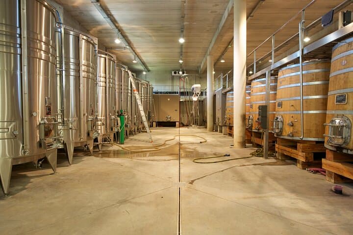 Guided tour of a winery in Vacquières with wine tasting