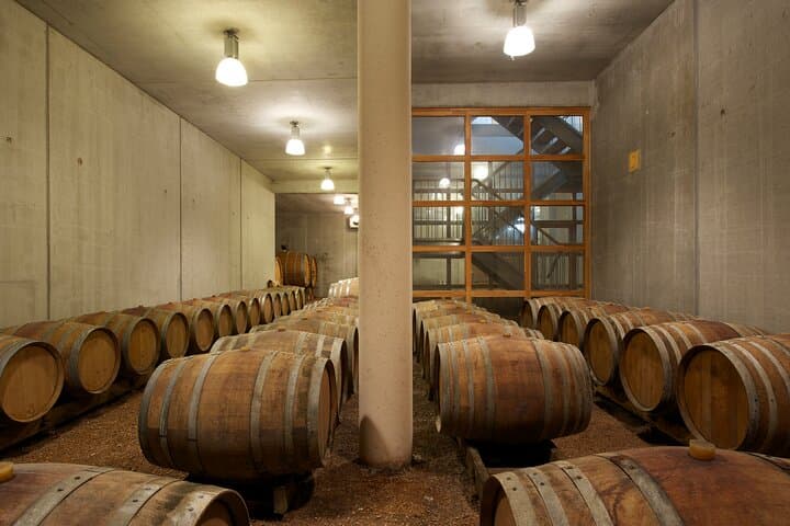 Guided tour of a winery in Vacquières with wine tasting
