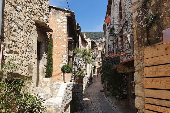 6 Hours Private Customized French Riviera Tour from Cannes Port