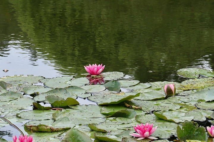 Giverny. Claude Monet's House.