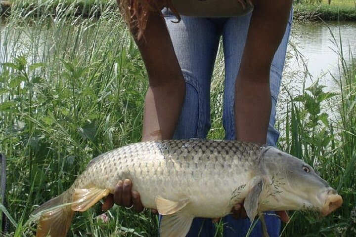 Introduction to fishing in Strasbourg