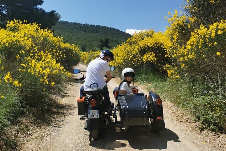 From Aix-en-Provence: 1-Hour Scenic Sidecar Tour on Cézanne Road