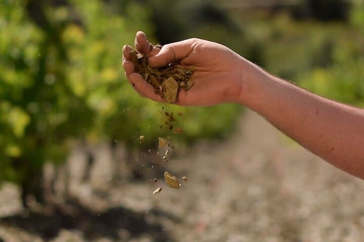 A difficult and unique terroir: a shale terroir.