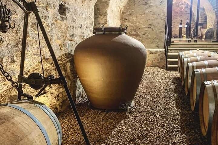 During the tasting, you will be able to admire our barrel and amphora cellar.