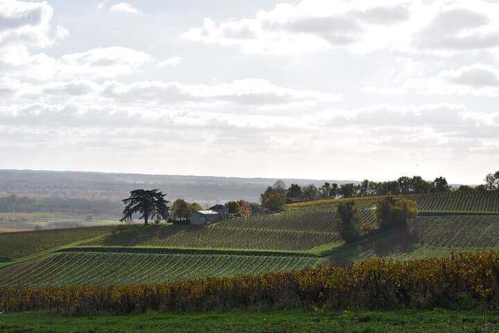 The magnificent landscapes of Entre Deux Mers