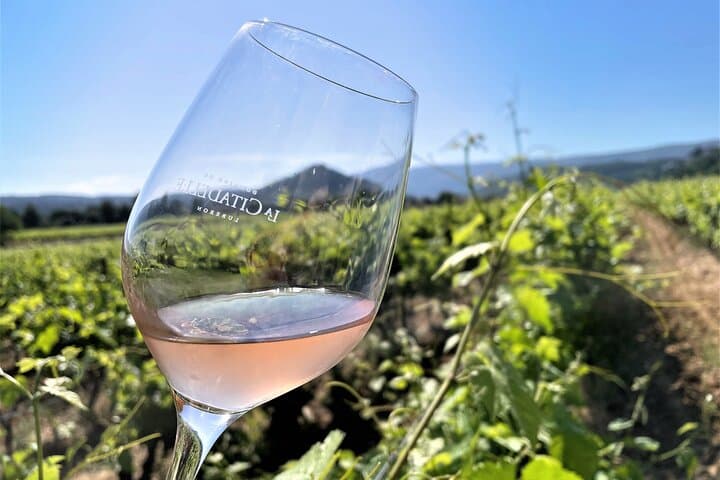 Rosé tastings in the heart of the vines!