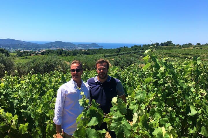 Full-day Wine Tour around Bandol & Cassis from Marseille