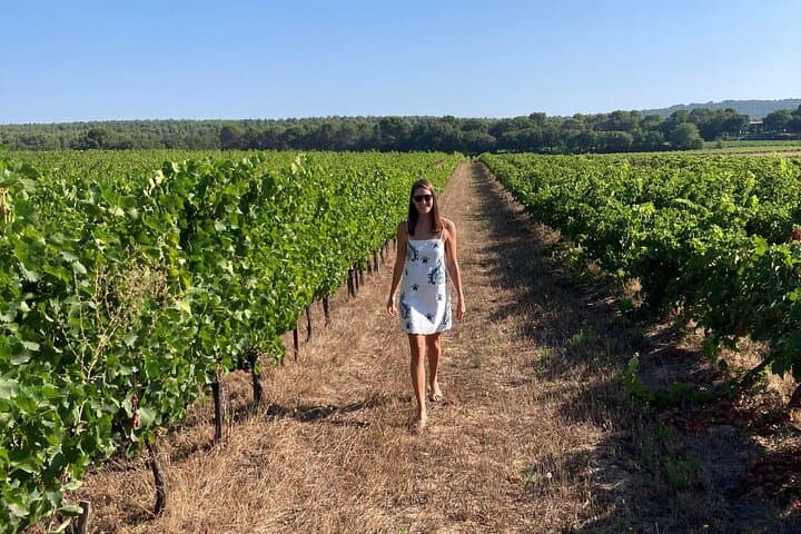 Stroll in the heart of the vines