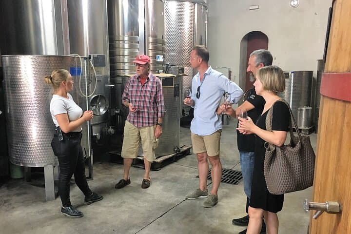 wine tour with your wine expert guide