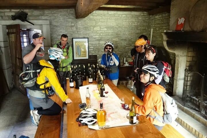 Wine tasting in local estate