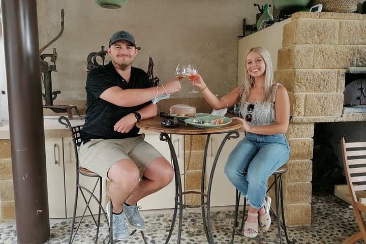 Provence Organic Wine Small Group Half Day Tour with Tastings from Nice