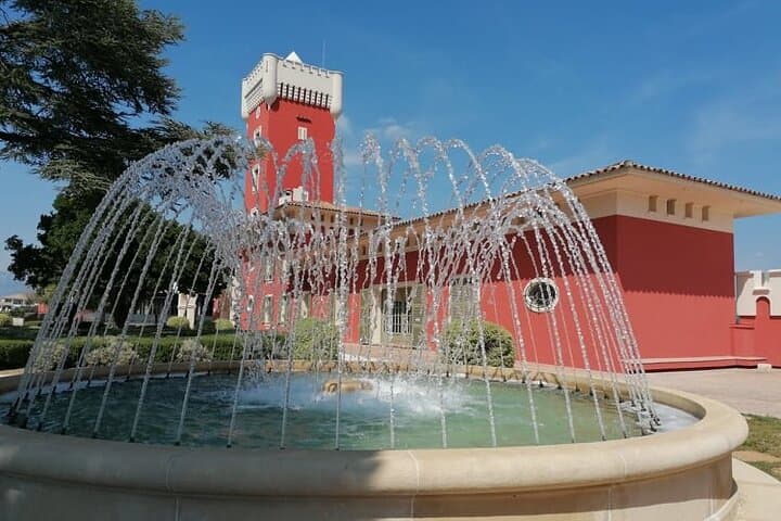 Provence Organic Wine Small Group Half Day Tour with Tastings from Nice