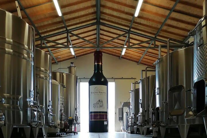 Saint-Émilion: 2 hours - Visit of the vineyard, the cellar and tasting