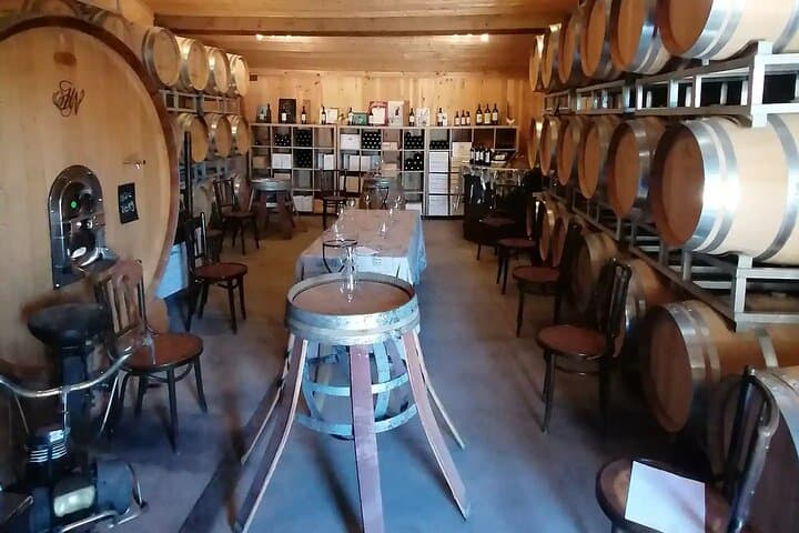 Saint-Émilion: 2 hours - Visit of the vineyard, the cellar and tasting