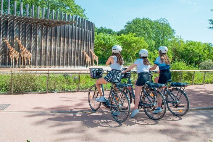 ComhiC 2h Velo electrique - Parc de la tete d'or Zoo