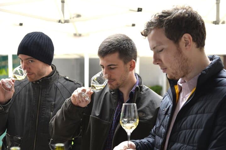 Visit and Chablis wine tasting at Domaine Clotilde Davenne in English