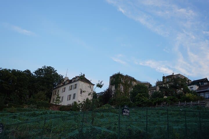 Paris unique vineyard