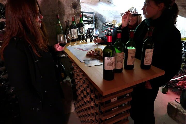 Vintage Wine Tasting in Bordeaux