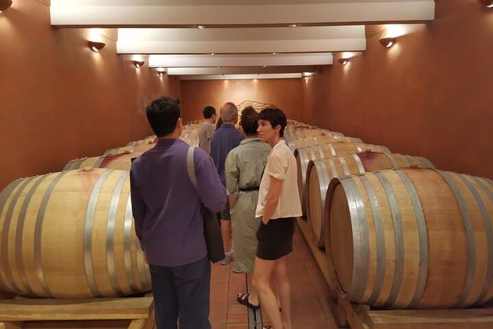 Private Full Day Wine Tour in Provence From Marseille cruise port
