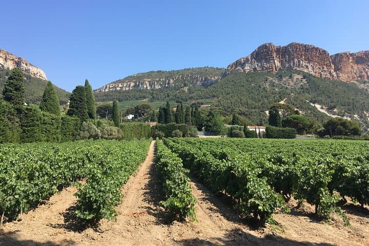 Private Full Day Wine Tour in Provence From Marseille cruise port