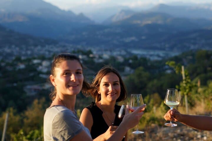 Vineyard in Nice