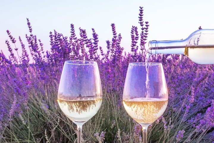 Provence wine tasting