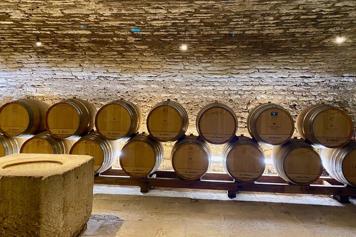 Chablis Wine Tastings Delights by Maison Regnard & J.M. Brocard