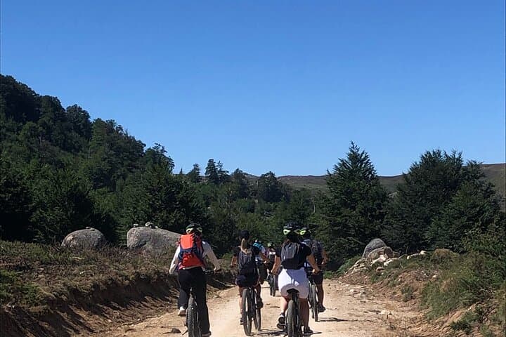 Free rental MTB AE Cuscionu plateau