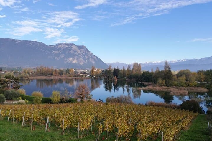 Wine Tour with private driver from Chamonix
