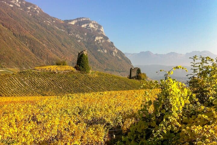 Wine Tour with private driver from Chamonix