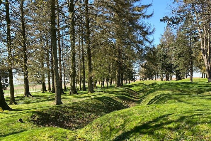 Preserved trenches