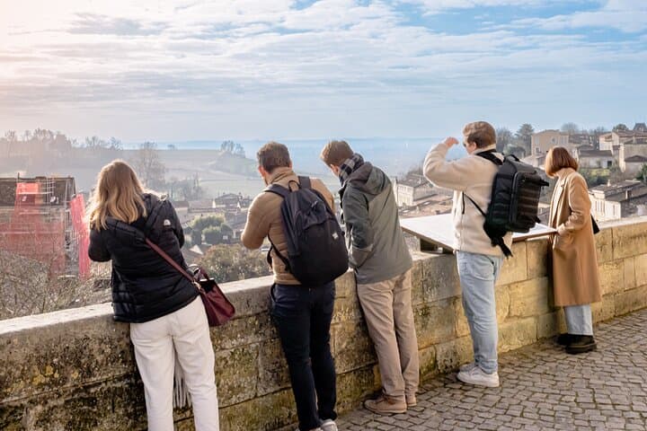 Half day tour Saint-Emilion : Village & Château with wine tasting