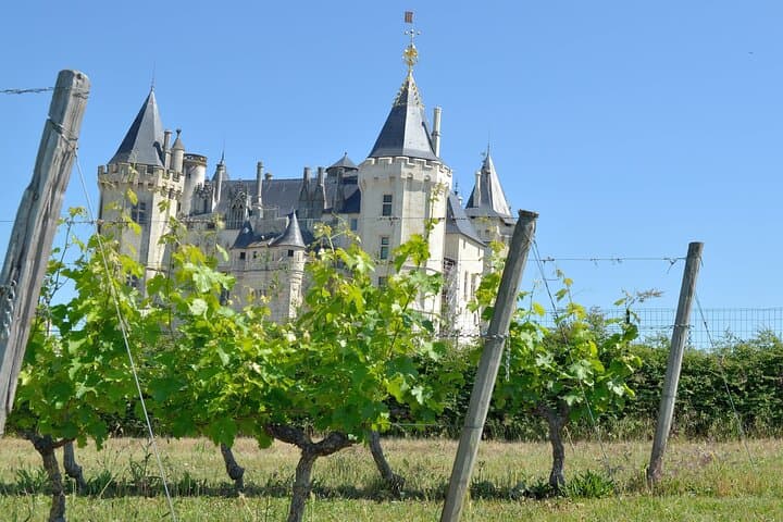 Chinon Appellation