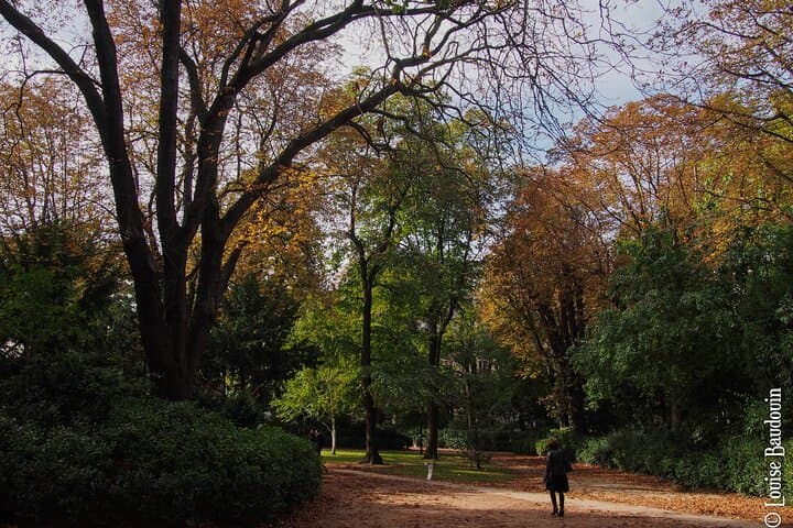 fall outing