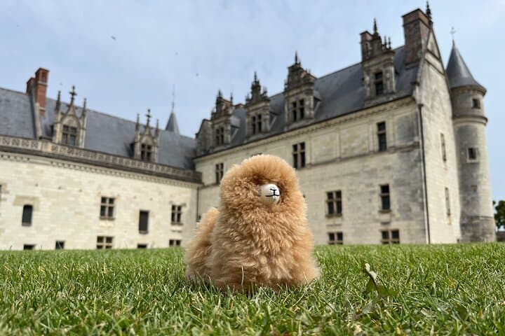 3 Loire Valley Castles and Wine Tasting Private Guided Tour