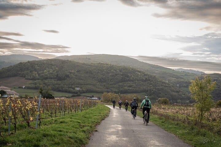 Beaujolais, guided tour