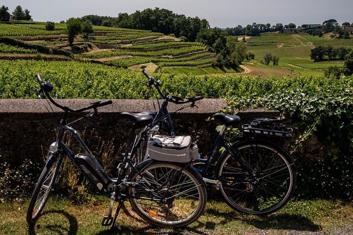 Saint-Émilion Wine Tour By Premium Electric Bike, Lunch Included
