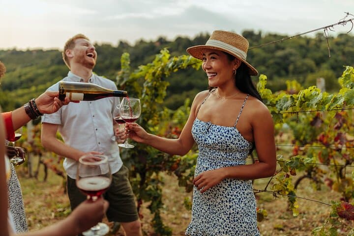 UNESCO Heritage and Wine Delights Private Tour from Bordeaux