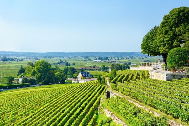 UNESCO Heritage and Wine Delights Private Tour from Bordeaux
