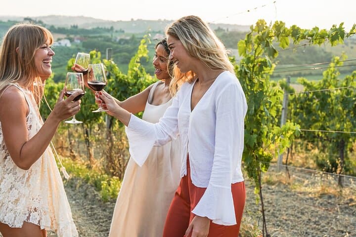 UNESCO Heritage and Wine Delights Private Tour from Bordeaux