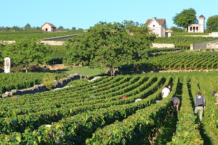 Capital city of the French Riviera Nice and the wine tour