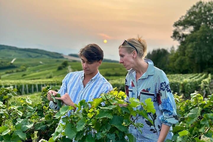 Enjoy the company of a wine expert guide