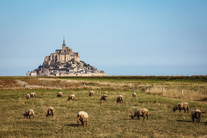 E-Bike Tour to Mont Saint Michel // Private guided tour