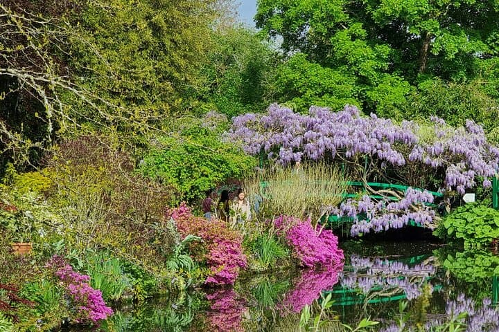 The wisterias on the Japanese bridge in May