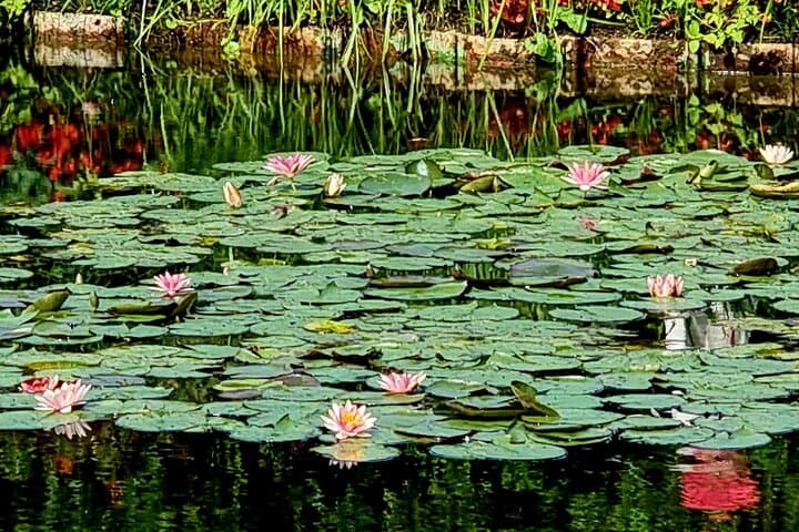 You always feel like you are in the painting at Giverny!