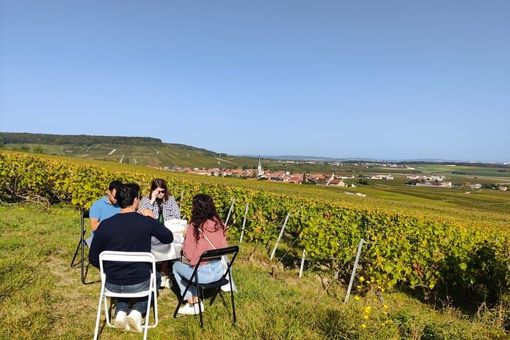 Champagne tasting, panoramic walk in the vineyards