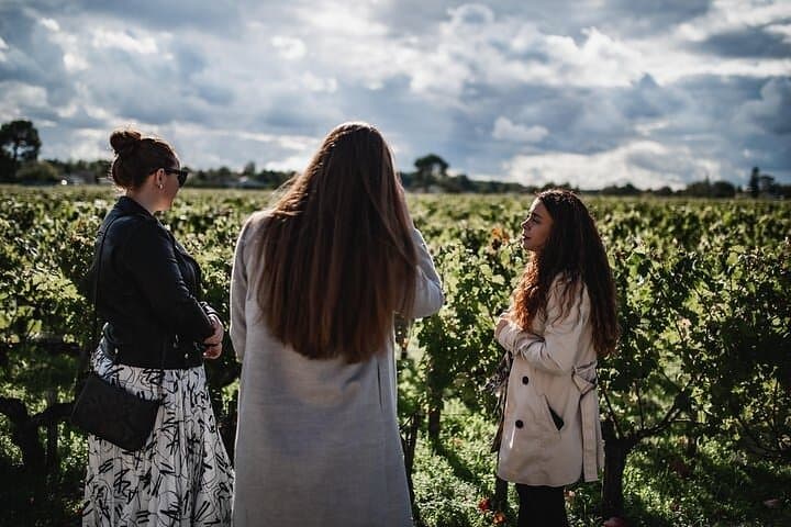 Médoc : Food and Wine Day Tour