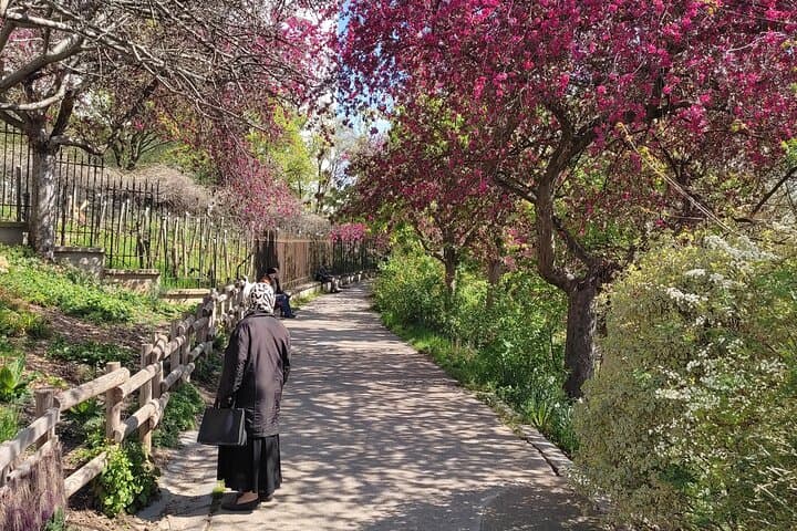 Exploring Belleville, Parisian Culture&Creativity in Motion