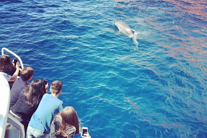 Magical encounter