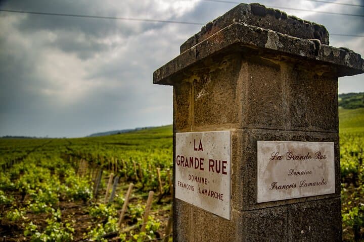 Private wine tour in Côte de Nuits and Côte de Beaune